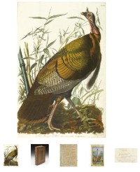 seltene Erstausgabe von John James Audubon The Birds of America bei Christies