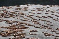 Nackt in Mnchen - Spencer Tunick Staatsoper-Projekt